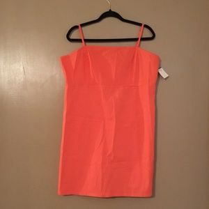 NWT wild fable dress